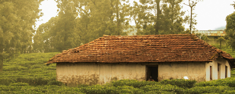 Beautiful Villages Timelapse